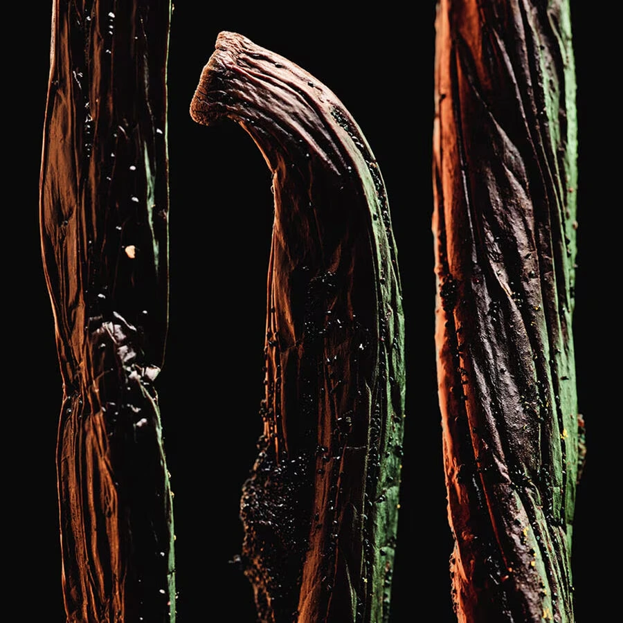 L'Art & La Matière Spiritueuse Double Vanille – Eau de Parfum