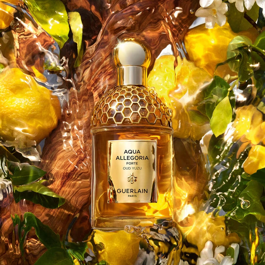 Aqua Allegoria Forte Oud Yuzu Forte - Eau de Parfum